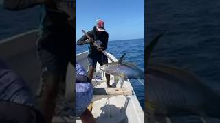 Catching Monster Yellowfin Tuna in Tanzania A Professional Fishing Charter Experience [upl. by Lalittah]