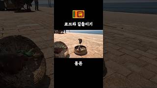 피리 부는 아저씨 [upl. by Maloney781]