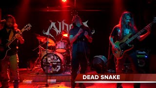 Dead Snake  NORIA  Live [upl. by Marshall]