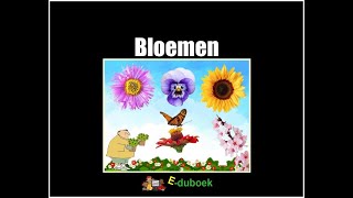 Bloemen groep 3 en 4 inkijkexemplaar [upl. by Iridis979]