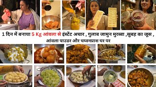 1 दिन में अकेले बनाया 5 Kg आंवला से Amla Recipes Hair Skin amp Health Murabba Pickle  Juice amp More [upl. by Cooperstein]