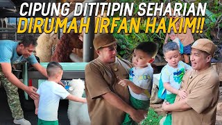 SEHARIAN NGASUH BINATANG DIRUMAH IRFAN HAKIM CIPUNG KEGIRANGAN DIKASIH BABY DOMBA BUAT BAWA PULANG [upl. by Saiff]