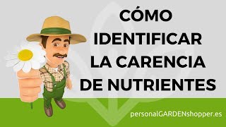 CÓMO IDENTIFICAR LA CARENCIA DE NUTRIENTES EN LAS PLANTAS [upl. by Bunch]