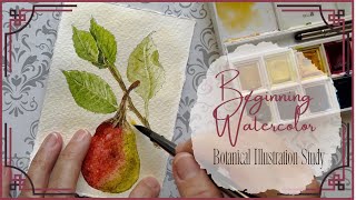 Beginning Watercolor  Botanical Study [upl. by Amandi]