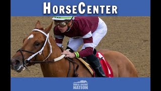 Gun Runner and Untapable top picks on HorseCenter [upl. by Annyrb410]