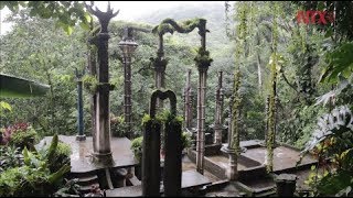 Las orquídeas del Jardín Escultórico Edward James Las Pozas [upl. by Assehc]