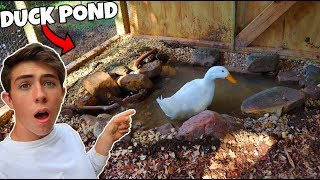 Building a CHEAP amp EASY Duck Pond Must Watch [upl. by Aisanahta102]