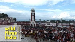 Kanwarias take holy dip in river Ganges  Haridwar [upl. by Hennessey749]