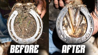 Satisfying Full Horse Hoof Restoration  4K FARRIER ASMR [upl. by Neoma]