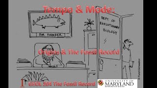 Lecture 7 Tempoamp Mode Originsamp the Fossil Record [upl. by Osithe354]