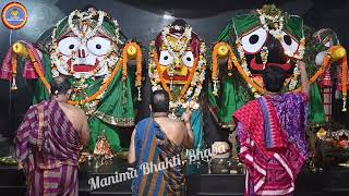 Sree Jagannath Sandhya Alati Darshan Dt13112024 Jay Jagannath [upl. by Bouchard378]