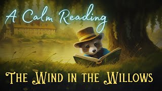 🦝 A Calm Reading of quotThe Wind in the Willowsquot  Full Audiobook for Sleep 😴 [upl. by Nayrda]