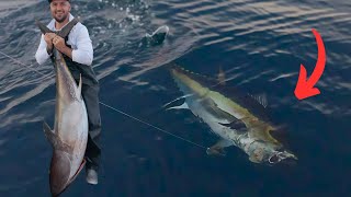 California Bluefin Tuna Fishing  HI SPEED TROLLING [upl. by Livvy]