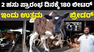 dairy farm 2 ಹಸುಗಳಿಂದ ಪ್ರಾರಂಭ ಮಾಡಿ ದಿನಕ್ಕೆ 180 ಲೀಟರ್ ಹಾಲು ಹೈನುಗಾರಿಕೆಯಲ್ಲಿ ಇಂದು ಉತ್ತಮ ಬ್ರೀಡರ್ [upl. by Eelnodnarb562]