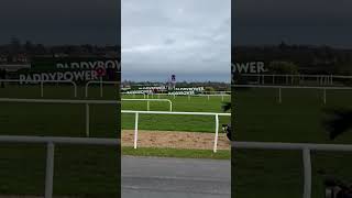 ALL THE ANGLES 🎥 Galopin Des Champs wins the Irish Gold Cup 🏆 dublinracingfestival [upl. by Shiff]