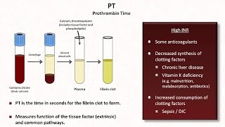 Hemostasis Lesson 4  Tests INR PTT platelets fibrinogen Ddimer [upl. by Meuser]