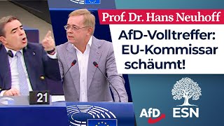 „Sie sind Europas Totengräber“ – Prof Dr Hans Neuhoff AfD [upl. by Yentuoc]