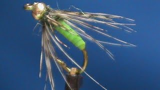 Beginner Fly Tying a Kens Beadhead Caddis Pupa with Jim Misiura [upl. by Nerrot]