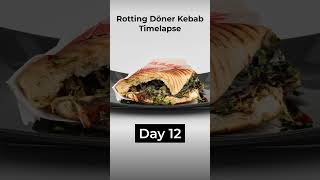 Rotting Döner Kebab timelapse döner [upl. by Tull]