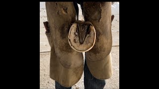 My Method of HorseHoof trimming Educational Demonstration SatisfyingBarefootTrim [upl. by Rodoeht783]