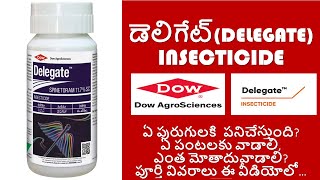 DOW DELEGATE INSECTICIDE FULL DETAILS IN TELUGU Spinetoram 117 SCFUTURE TECH AGRICULTURE [upl. by Pearlstein649]