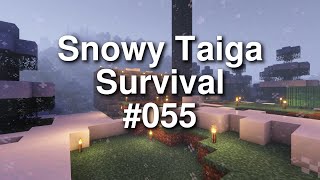 Minecraft Snowy Taiga Survival  055 [upl. by Nipha]