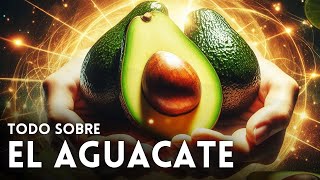 ¡El Poder del Aguacate Beneficios y Usos de este Superalimento 🥑 [upl. by Cathleen]