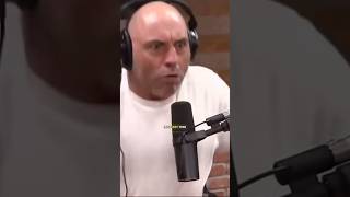 The pitbull was gangster joerogan podcast pitbull dog coyote story [upl. by Janis]