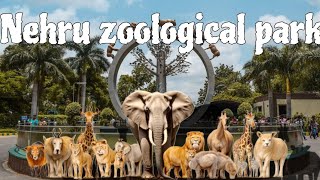 Nehru zoological park hyderabad  complete tour with HD video  lion safari  nehru zoo park [upl. by Susejedesoj]