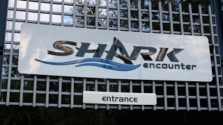 Seaworld Orlando Shark Encounter POV Tour [upl. by Eussoj]