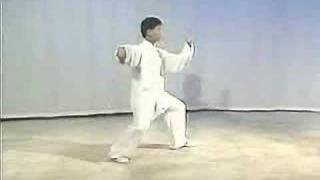 Yang Taiji Master Yang Jun  3th part of the long form 103 form 1 [upl. by Mutat]