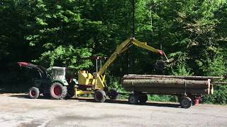 Langholzwagen mit Griesser Bagger beladen [upl. by Eireva21]