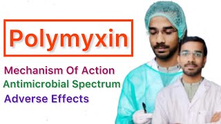 Polymyxin  Mechanism Of Action  Antimicrobial Spectrum  Adverse Effects [upl. by Arah]