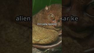 MENGEJUTKAN‼️HEWAN INI MIRIP ALIEN shortclip youtube [upl. by Sidra]