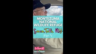 Montezuma National Wildlife Refuge Part 5 🦩✨ [upl. by Ramad]