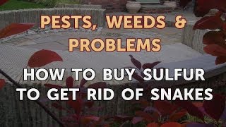 How to Buy Sulfur to Get Rid of Snakes [upl. by Annayrb781]