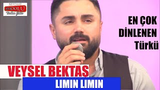 Veysel Bektaş l Lımın Lımın  En Çok Dinlenen Türkü veyselbektas [upl. by Plante62]