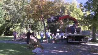 Transplantation dun marronnier de la plaine de Plainpalais au parc Bertrand [upl. by Sou]