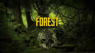 SURVIVE DI PULAU MISTERIUS theforest survivalgame [upl. by Colligan]