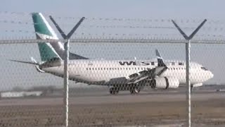 WestJet 737700 landing in Calgary [upl. by Brunhilda134]