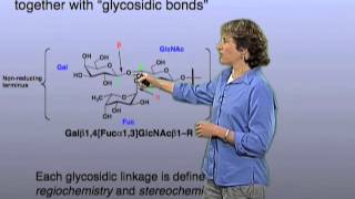 Glycan linkage  Carolyn Bertozzi Berkeley [upl. by Dotty]