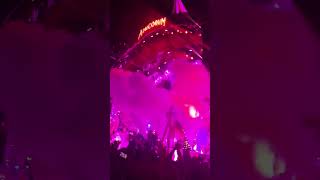 Axwell amp  Ingrosso live at the Mainstage Tomorrowland edm shorts trending short music fyp [upl. by Ahsemot123]