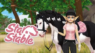 SSO Kupuje WSZYSTKIE nowe KUCE GOTLANDZKIE 🤔🦄  Star Stable Aktualizacja [upl. by Eillen]