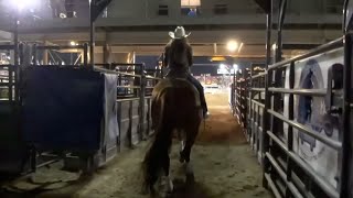 Brittany Pozzi Tonozzi  2023 Caldwell Night Rodeo [upl. by Derrek]