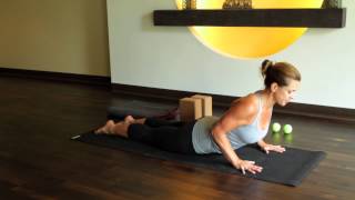 Chaturanga low push up to Upward Facing Dog Pose [upl. by Laniger]