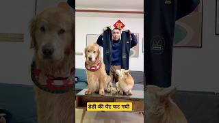 डेडी की फट गयी पेंट 🐕 mini wood toy  woodworking art skills  hand crafts shorts pets [upl. by Amiel]