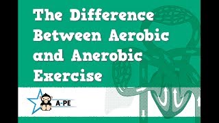 GCSE PE The Difference Between Aerobic amp Anaerobic AQA Board [upl. by Eikkin]