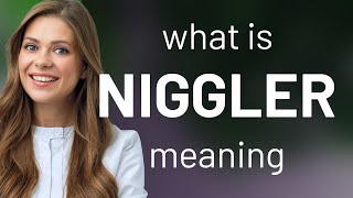 Niggler  NIGGLER definition [upl. by Samaj655]