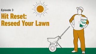 The Scotts Way How to Reseed a Lawn [upl. by Aneleve]