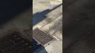 Jiffy Lube did it again automobile drainplug ￼ fall [upl. by Yrtnej]